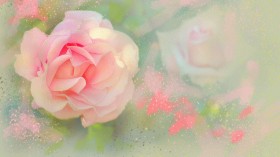 手绘花卉水彩画桌面壁纸