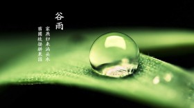 二十四节气之谷雨桌面壁纸