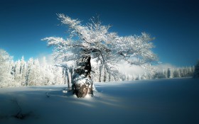 德国巴伐利亚冬天雪景桌面壁纸