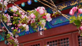 立夏节气景色桌面壁纸
