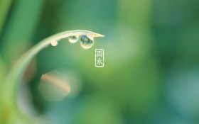 二十四节气雨水景色桌面壁纸