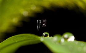 二十四节气雨水景色桌面壁纸