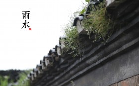 二十四节气雨水景色桌面壁纸