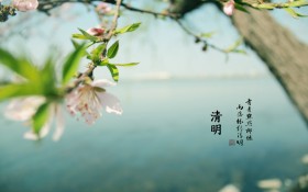 清明节创意海报桌面壁纸