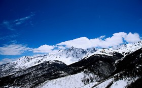 云南白马雪山自然风景桌面壁纸