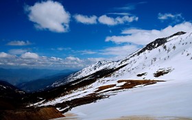 云南白马雪山自然风景桌面壁纸