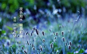 24节气之立秋桌面壁纸