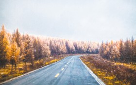 秋天唯美的公路桌面壁纸