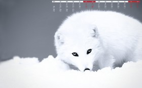 2019年1月日历桌面壁纸