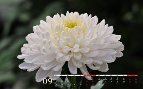 2019年9月护眼日历桌面壁纸