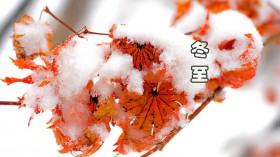 二十四节气冬至桌面壁纸
