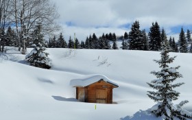 白茫茫的冬日雪景桌面壁纸