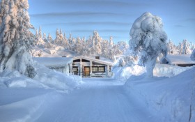 白茫茫的冬日雪景桌面壁纸