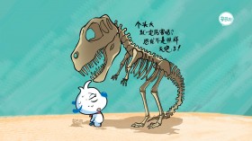 辛巴狗神经语录卡通桌面壁纸