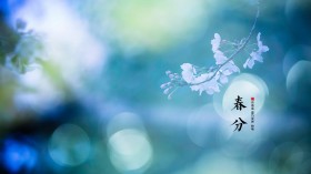 二十四节气之春分桌面壁纸