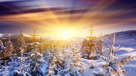 冬日唯美圣洁的雪景自然风景桌面壁纸