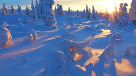 冬日唯美圣洁的雪景自然风景桌面壁纸