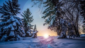 冬日唯美圣洁的雪景自然风景桌面壁纸