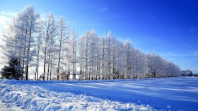 冬日唯美圣洁的雪景自然风景桌面壁纸
