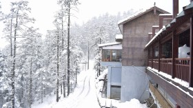 冬日唯美圣洁的雪景自然风景桌面壁纸
