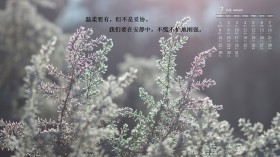 2019年7月日历月历桌面壁纸