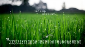 2019年7月日历月历桌面壁纸