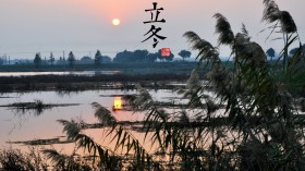 中国古老的24节气桌面壁纸