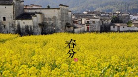 中国古老的24节气桌面壁纸