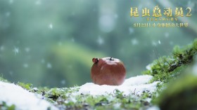 法国动画电影《昆虫总动员2》桌面壁纸