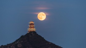 2019年 Bing官方主题第九波桌面壁纸