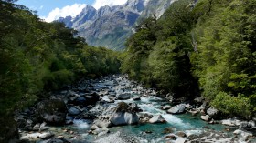 优美的小溪流水风景桌面壁纸