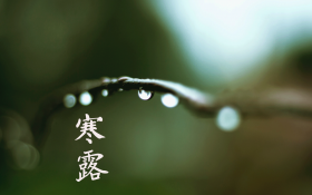 24节气之一寒露桌面壁纸