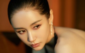 美女明星王子文优雅桌面壁纸